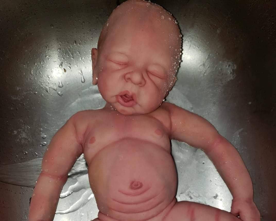 Full Body Silicone art doll 21" Nora