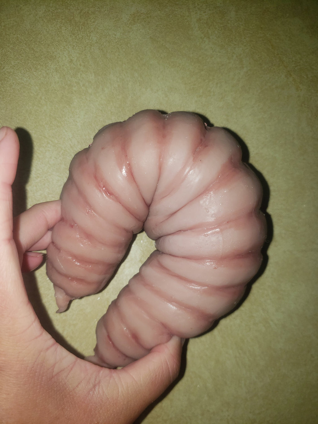 Full-body silicone flobber worm from Harry Potter 10 inches