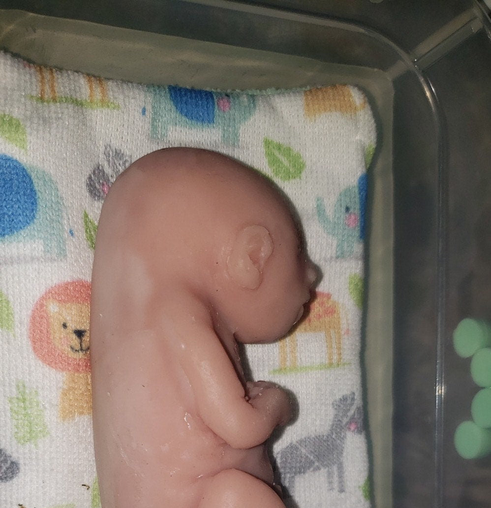 20 week gestational memorial fetus silicone art doll curled up full body with back