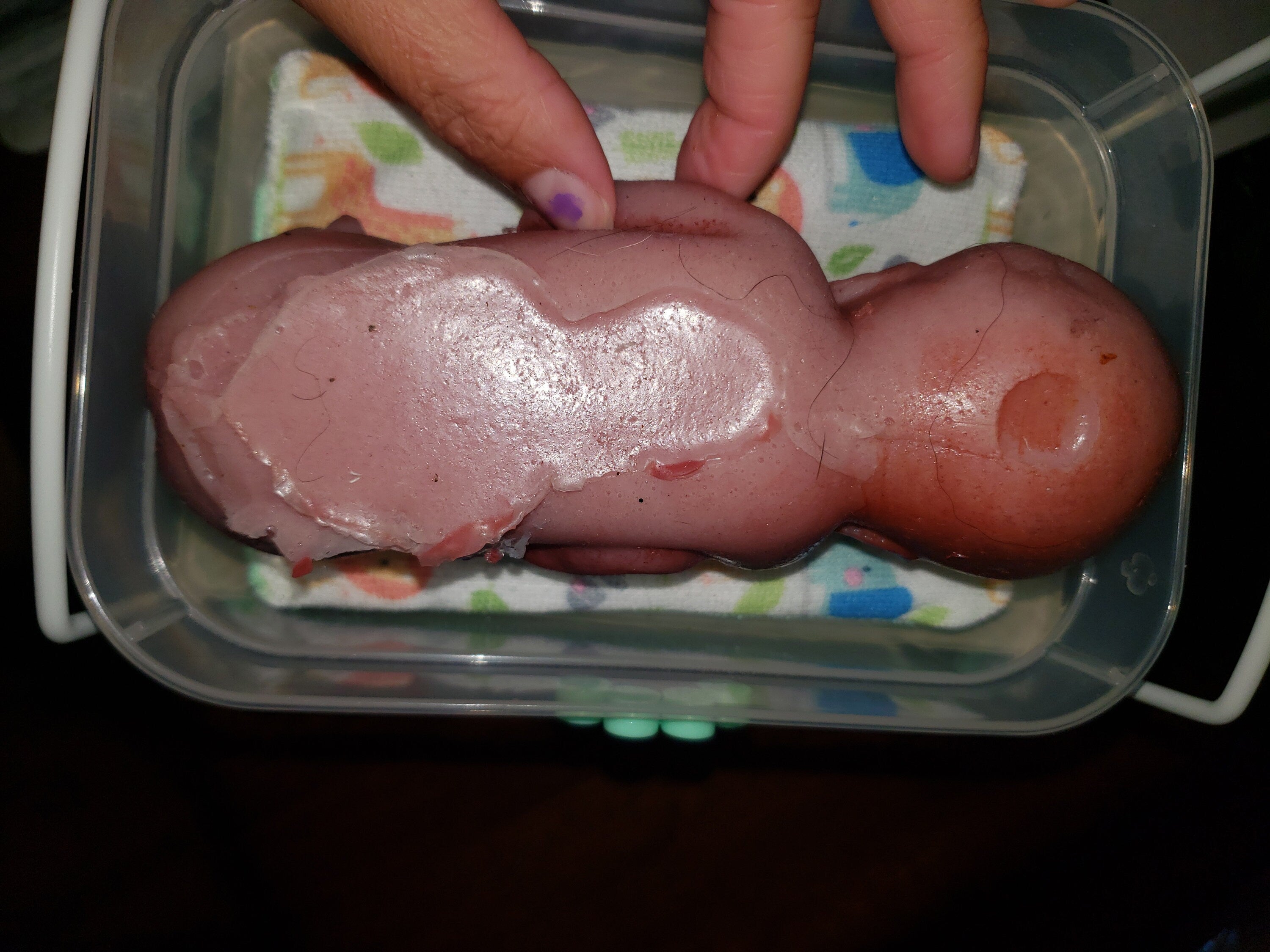 8" curled up silicone baby 22 week gestation memorial baby born too soon