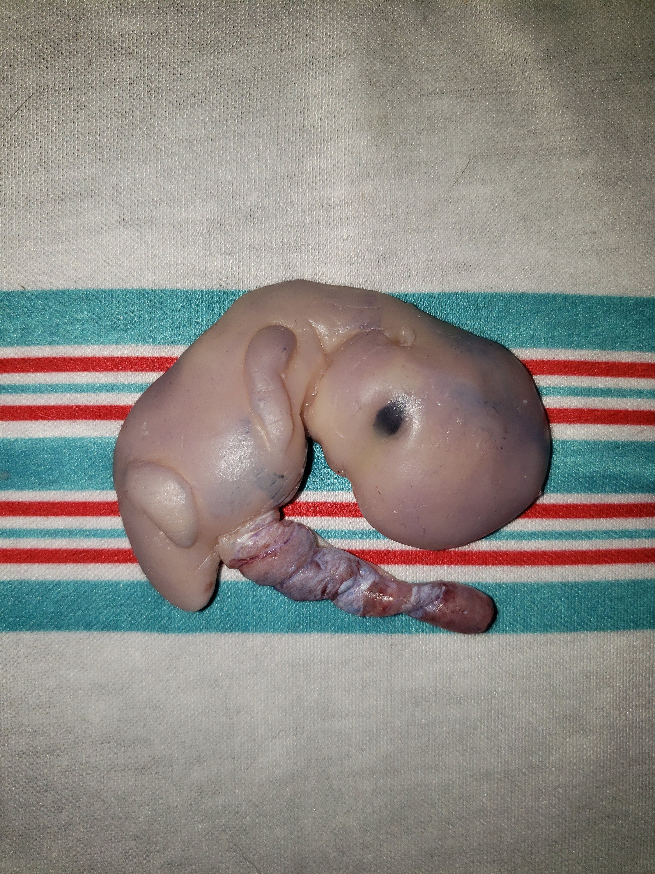 Fully painted 13 week sized gestation silicone fetus memorial baby with umbilical cord