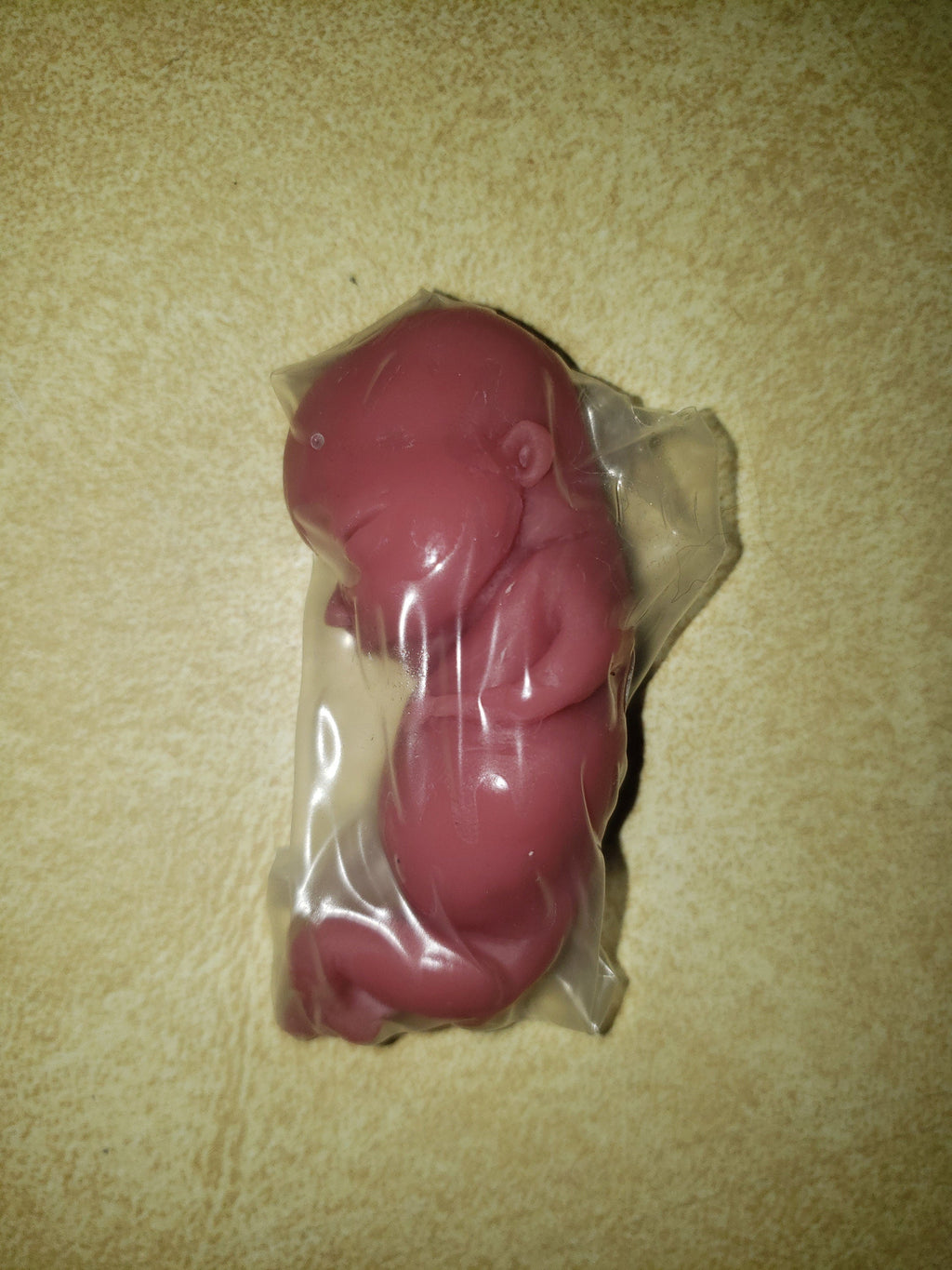 silicone baby fetus memorial fetus inside WOMB keepsake