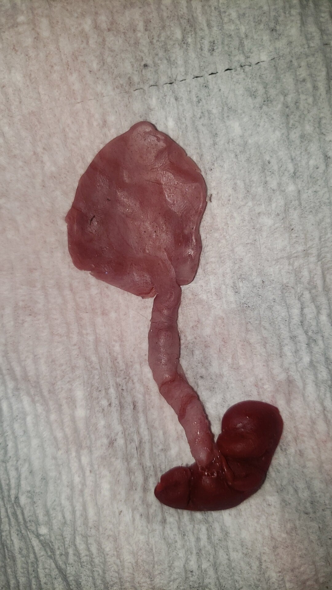 fetus silicone baby memorial with umbilical cord attached