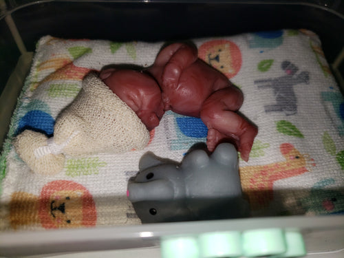 15 week memorial fetus silicone baby