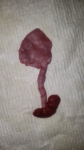 fetus silicone baby memorial with umbilical cord attached
