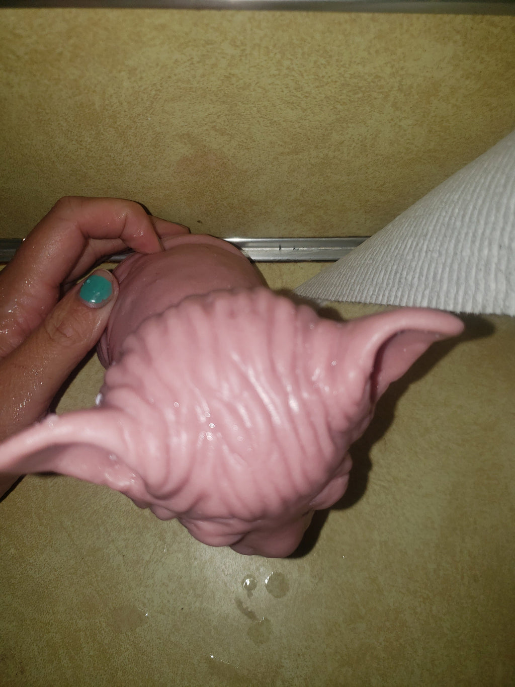 Silicone spyhnx cat kitten 6.5" Bracken taylor green