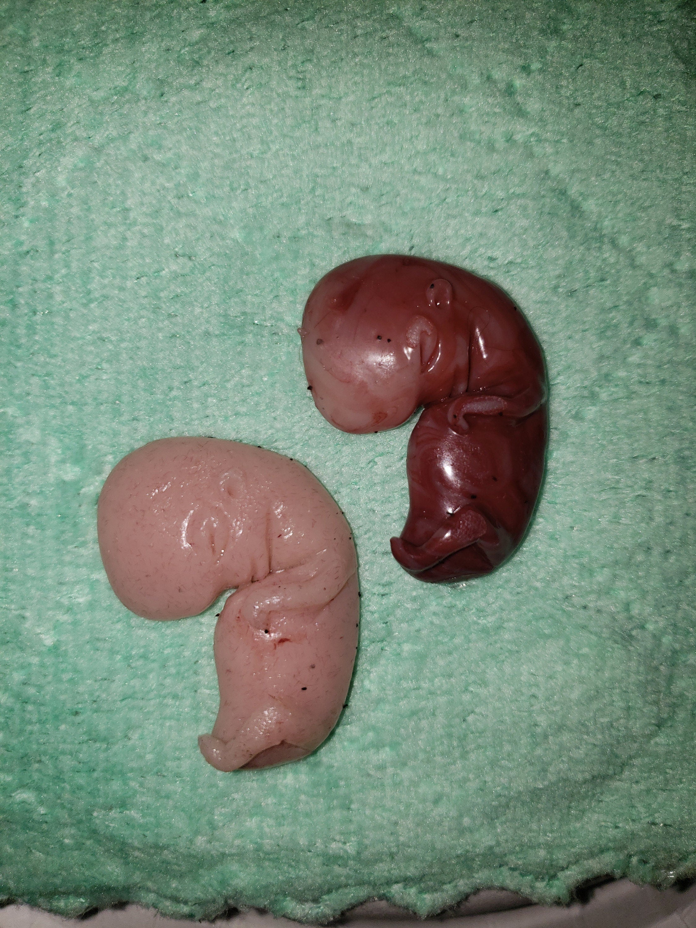 11 week gestational fetus silicone baby