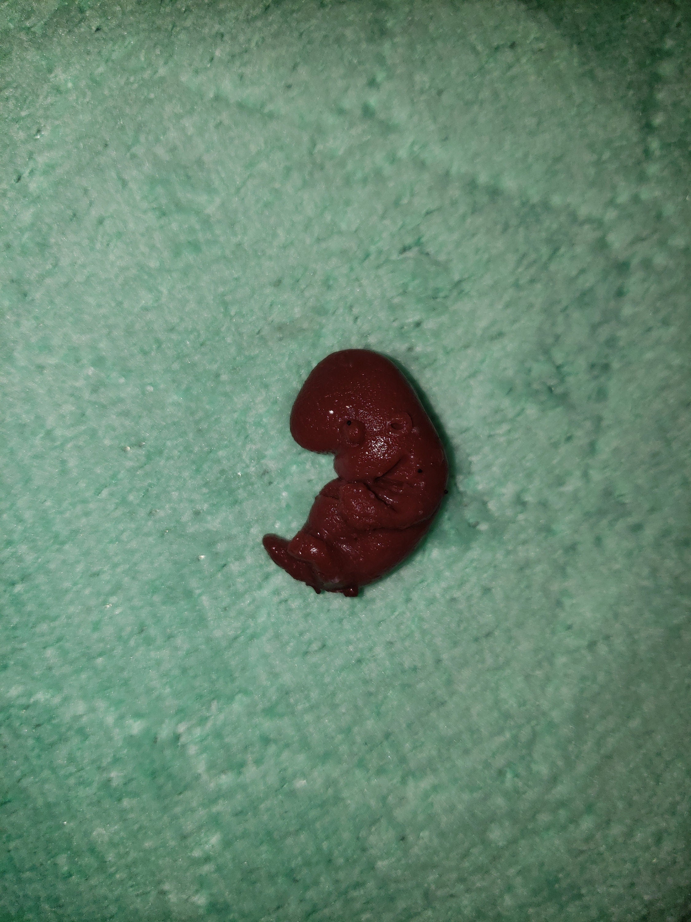 9 week gestational fetus silicone baby red/mixed color