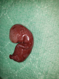 11 week gestational fetus silicone baby