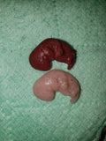 9 week gestational fetus silicone baby red/mixed color