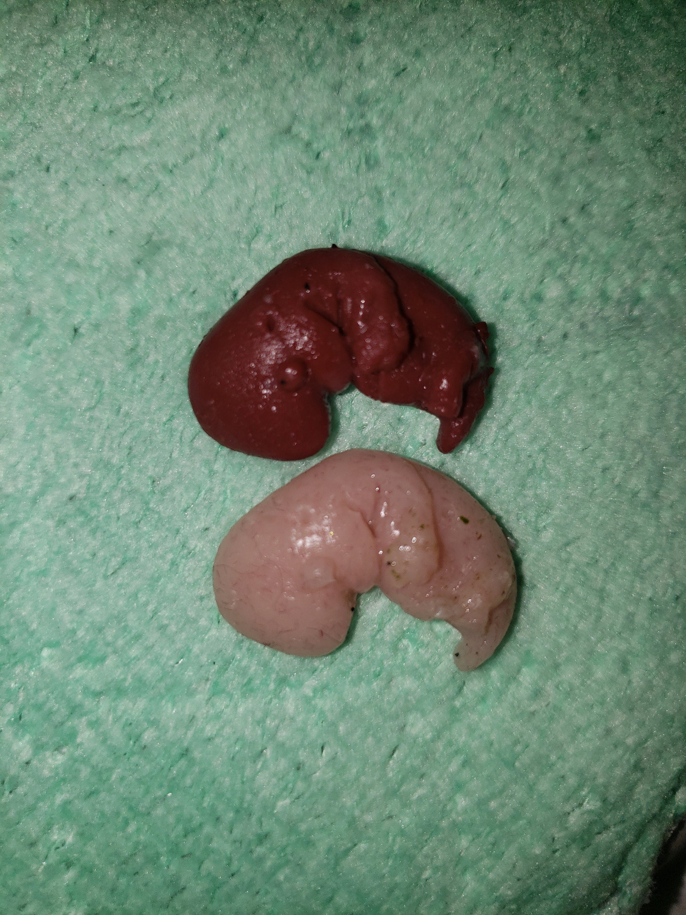 9 week gestational fetus silicone baby red/mixed color