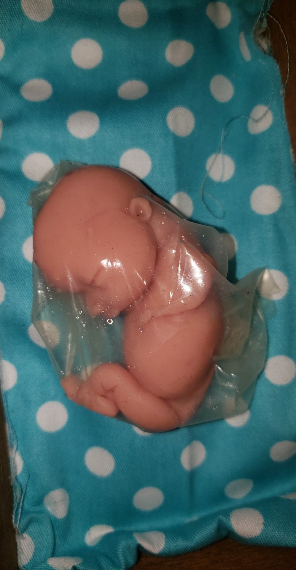 silicone baby fetus memorial fetus inside WOMB keepsake