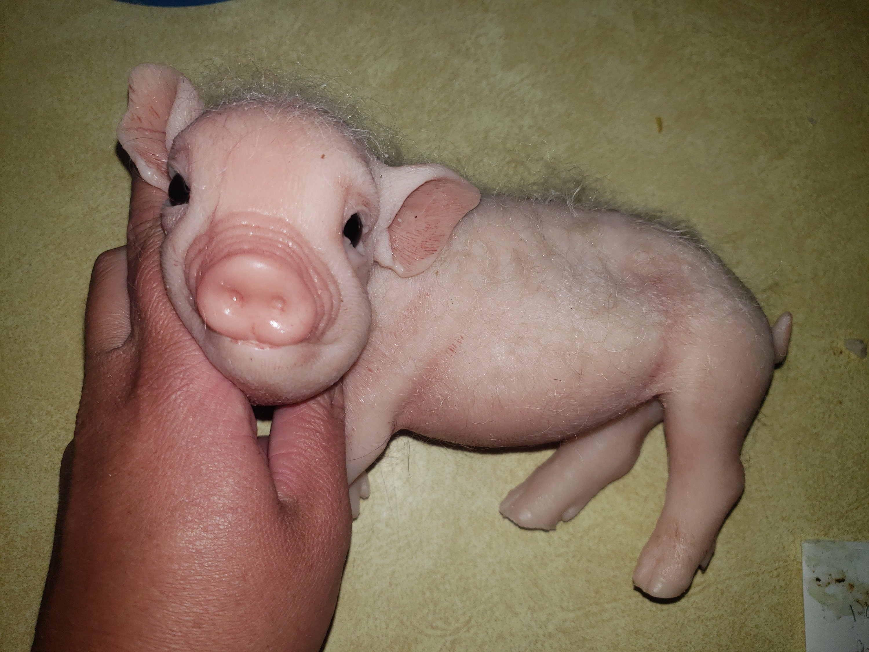 9" Full body silicone baby piglet piggy pig