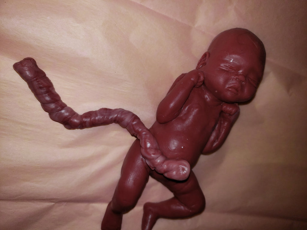 9" Full Body silicone baby Nevea 21 week gestation memorial baby born too soon