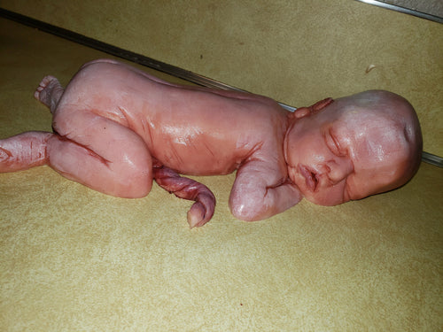 13" silicone baby  fully painted with umbilical cord maribelle NEWBORN with white vernix on body