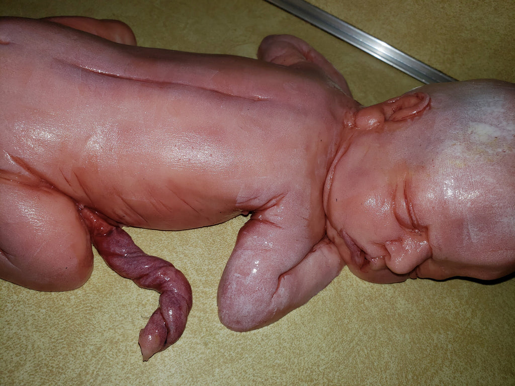 13" silicone baby  fully painted with umbilical cord maribelle NEWBORN with white vernix on body