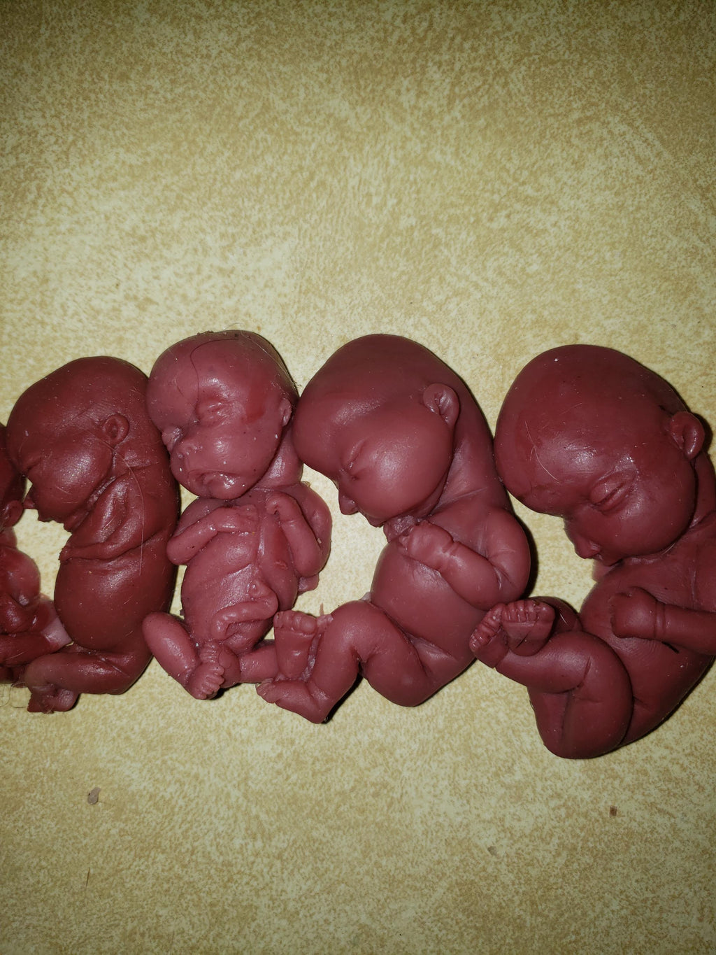 Silicone baby fetus LOT pro life developmental bundle of babies