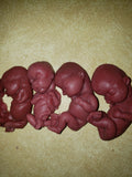 Silicone baby fetus LOT pro life developmental bundle of babies