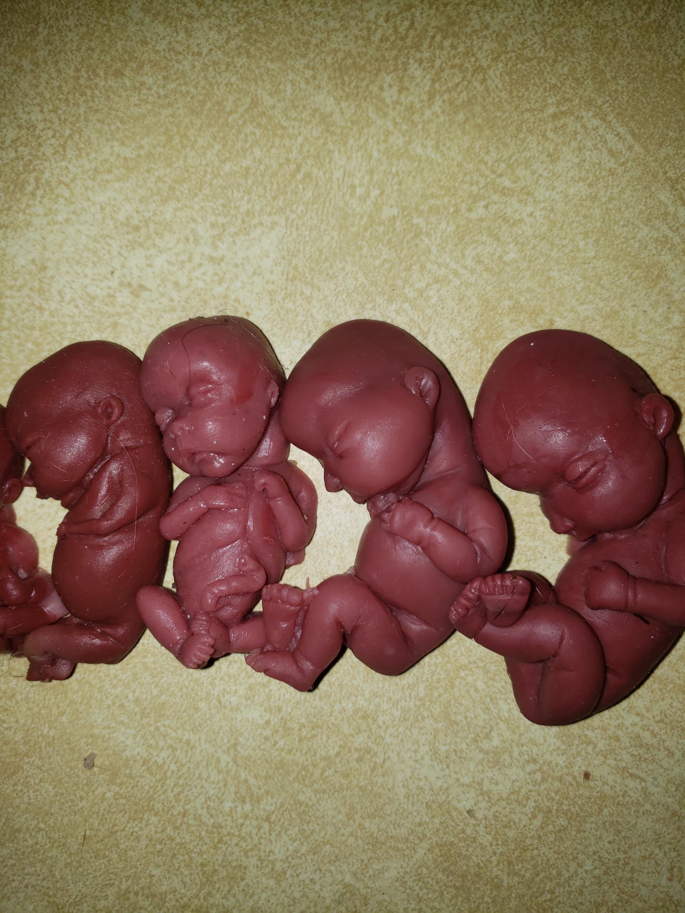 Silicone baby fetus LOT pro life developmental bundle of babies