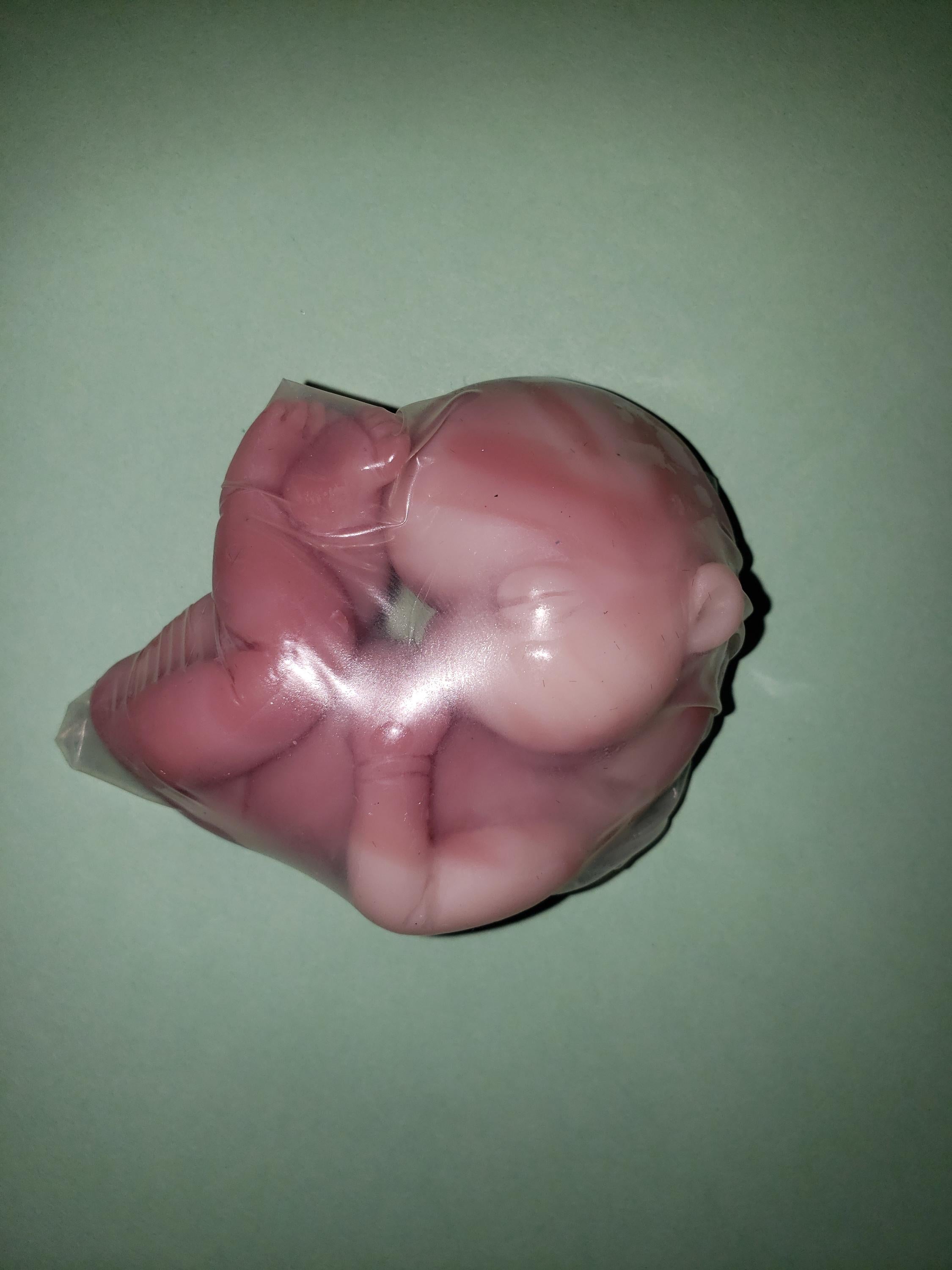 silicone baby fetus memorial baby fetus inside WOMB