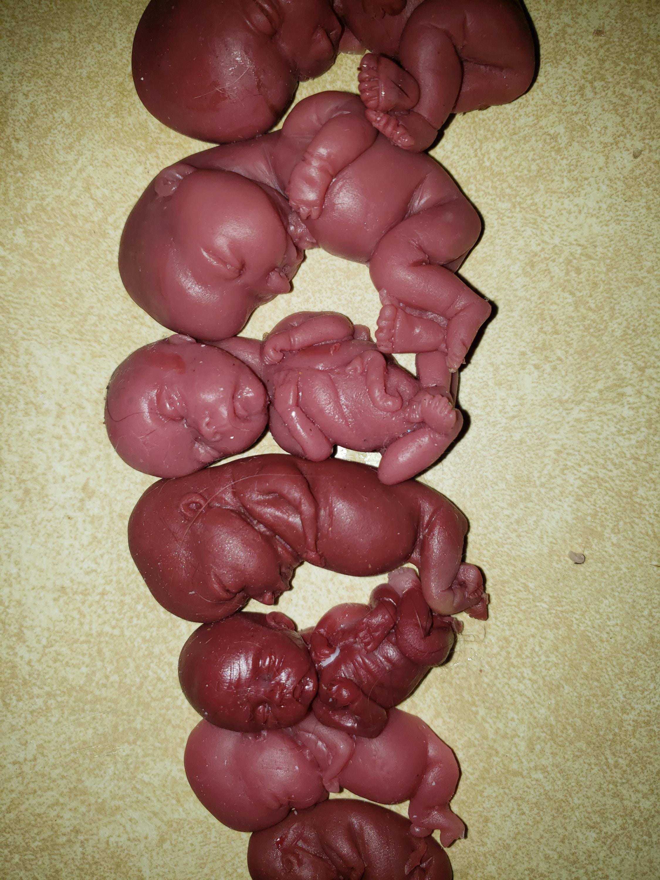 Silicone baby fetus LOT pro life developmental bundle of babies