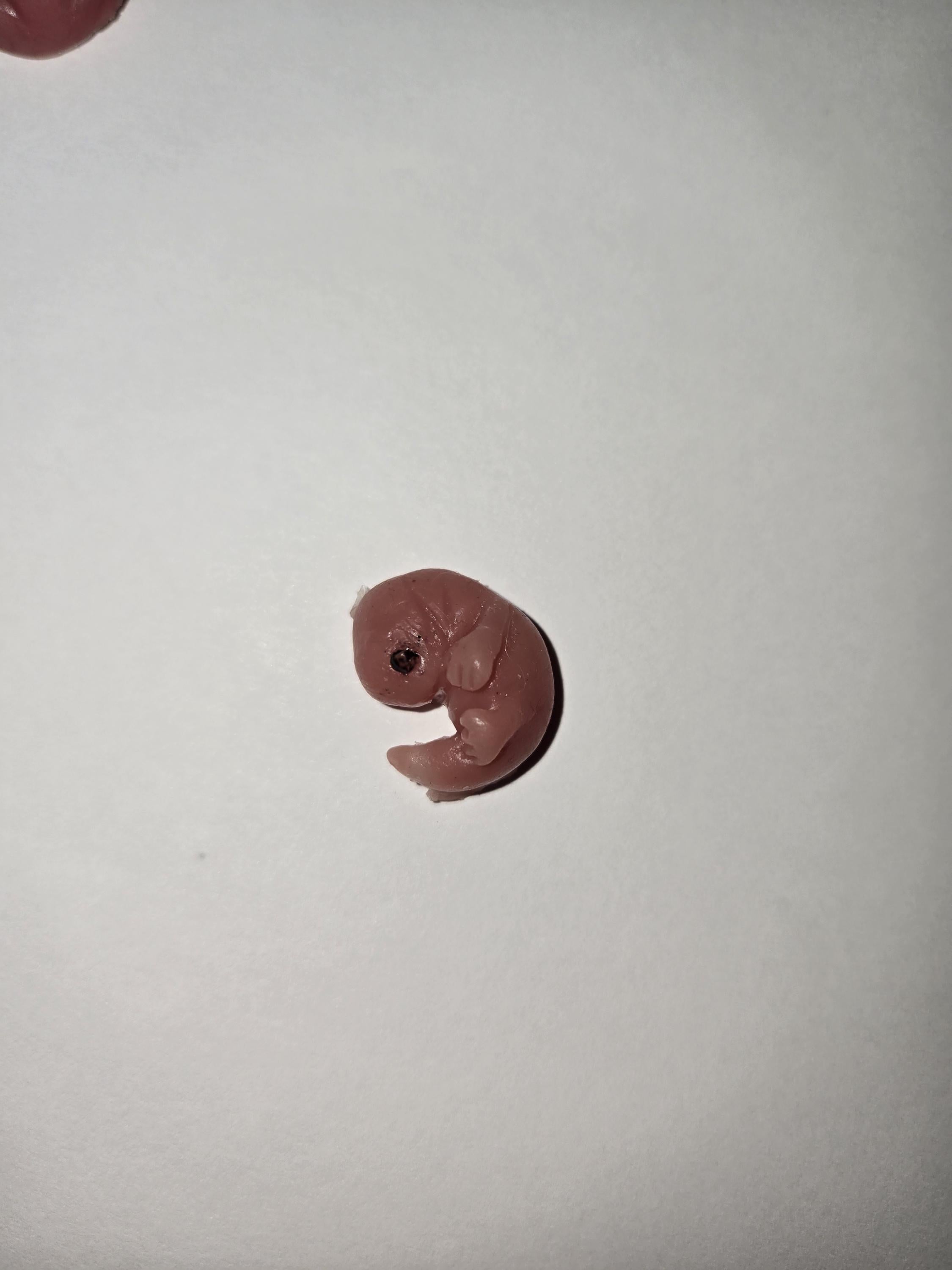 14 week gestation fetus memorial silicone baby fully painted with wings?