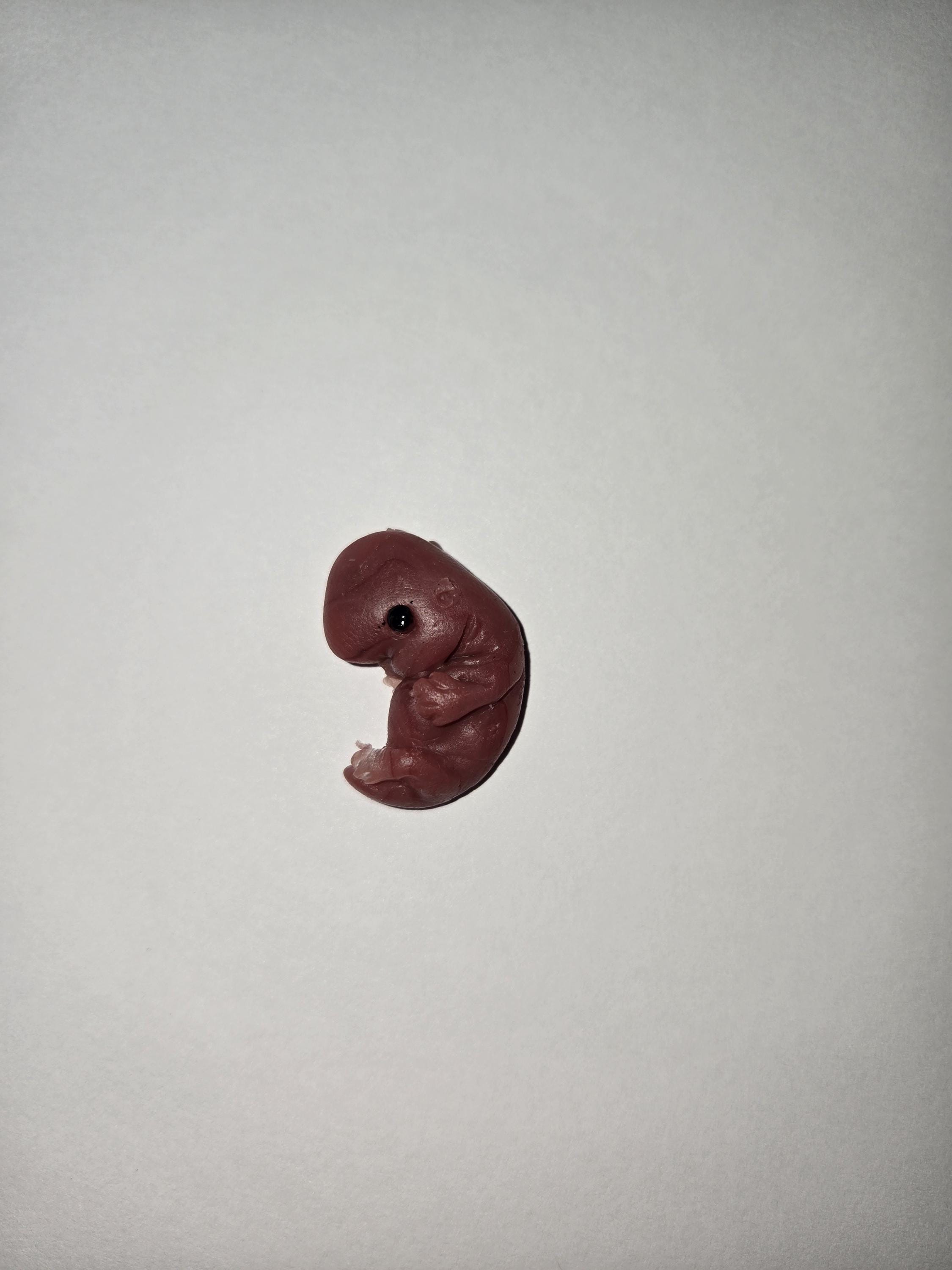 14 week gestation fetus memorial silicone baby fully painted with wings?