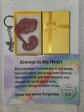 Silicone fetus with placenta and umbilical cord
