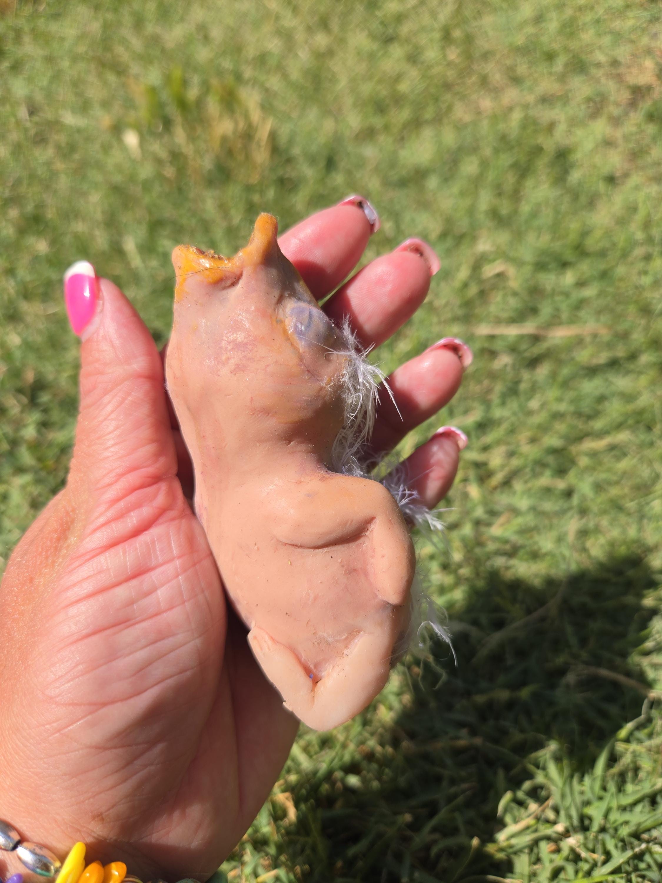 Custom 4" Silicone Baby Bird – Fantasy Creature Art Doll