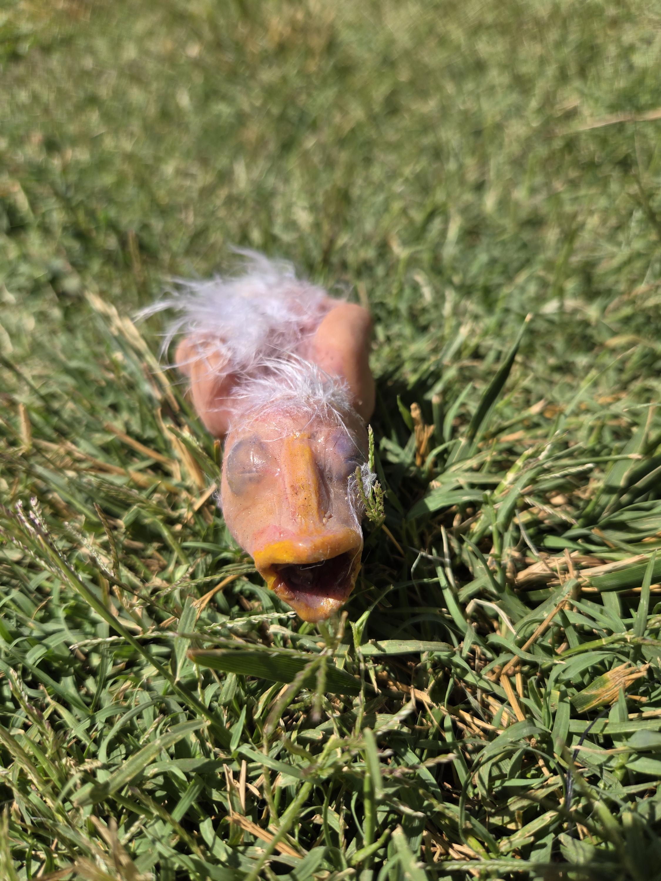 Custom 4" Silicone Baby Bird – Fantasy Creature Art Doll