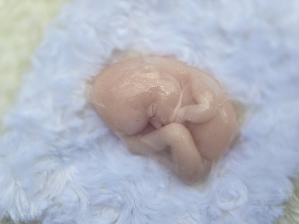 silicone baby fetus memorial baby fetus inside WOMB keepsake