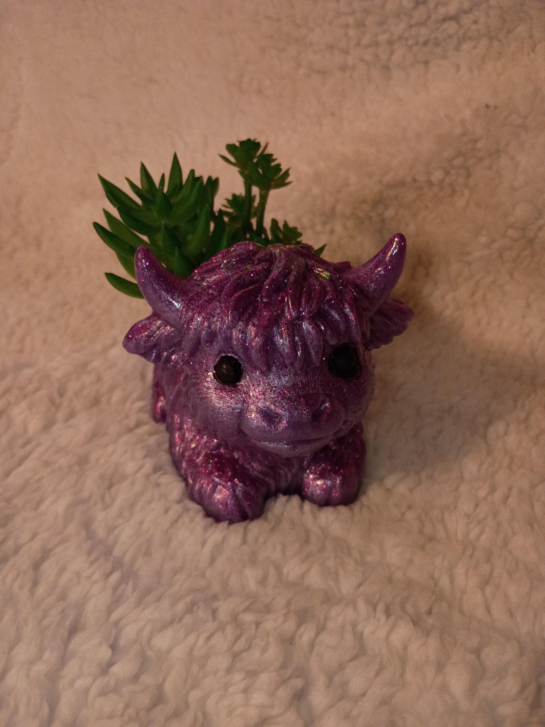 glitter, shimmer or solid Resin highland cow planter with succulents choose color