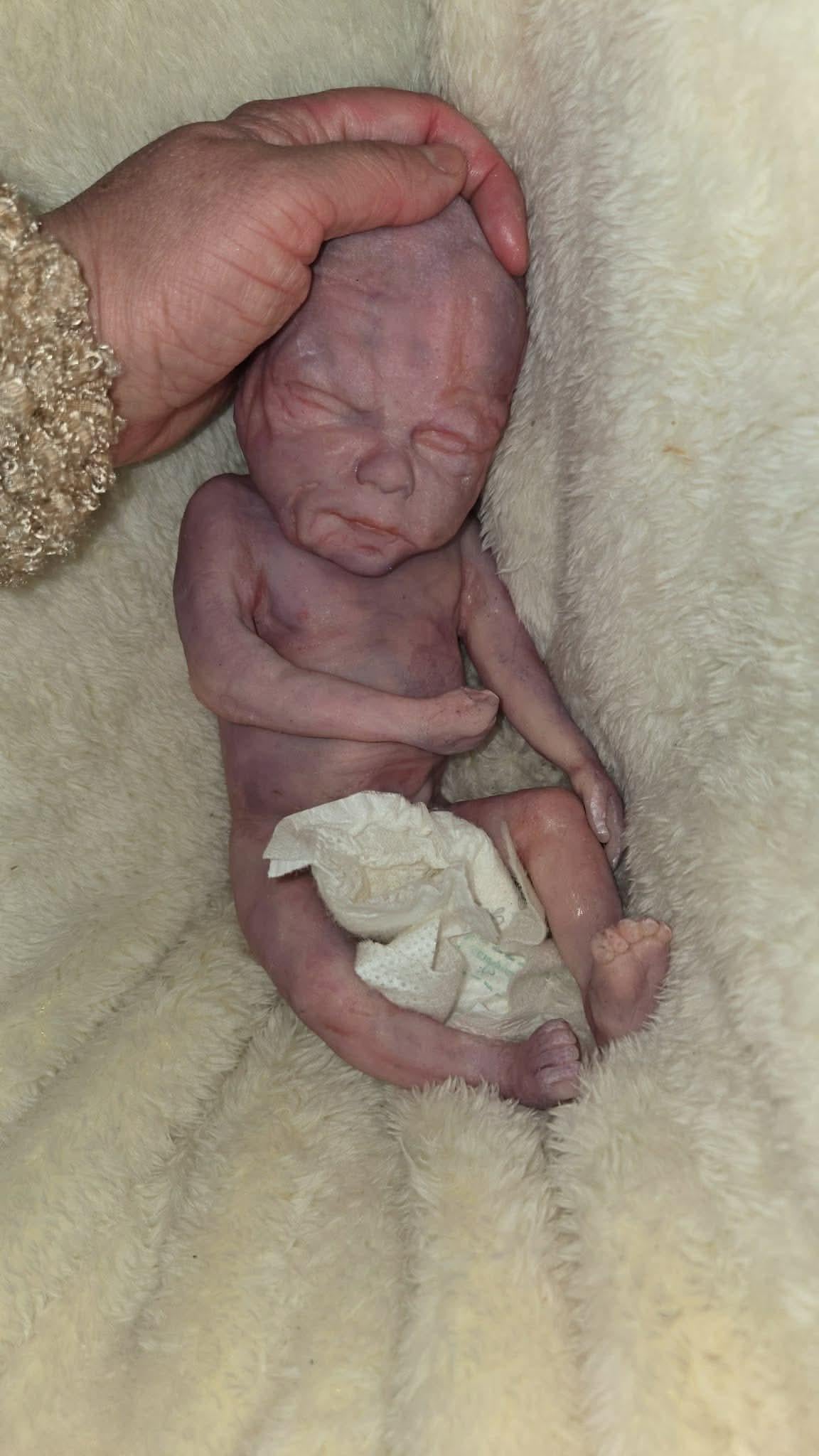 Born too soon silicone memorial art doll keepsake 12" 22 - 24 weeks gestation