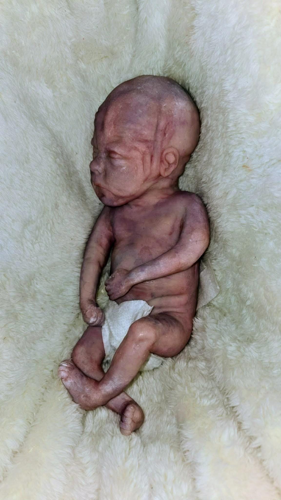 Born too soon silicone memorial art doll keepsake 12" 22 - 24 weeks gestation