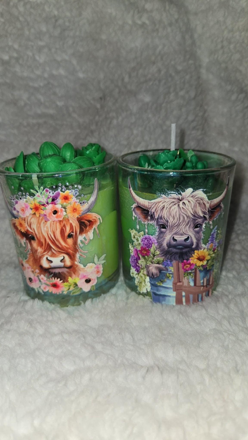 Highland Cow Candle with Succulent Topper