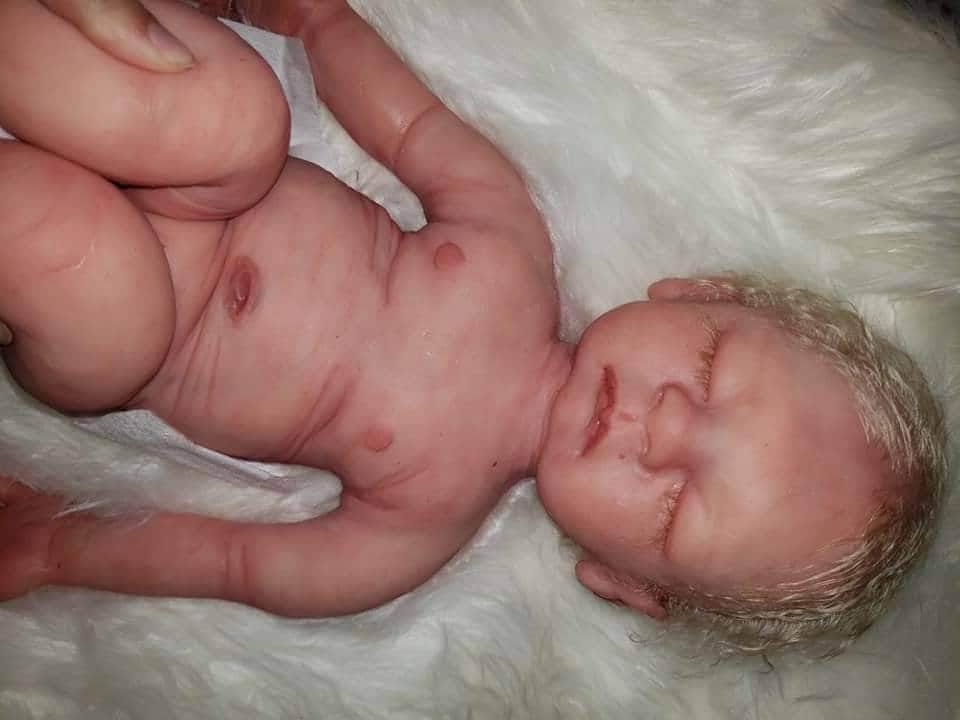 Full Body Silicone art doll 19" Essa senaa newborn