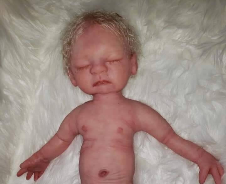 Full Body Silicone art doll 19" Essa senaa newborn